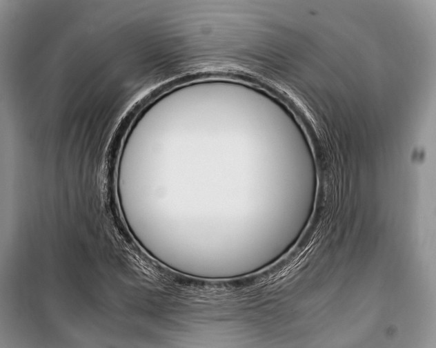 X0000101100975200806261040