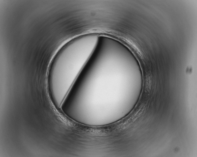 X0000101100976200806261040