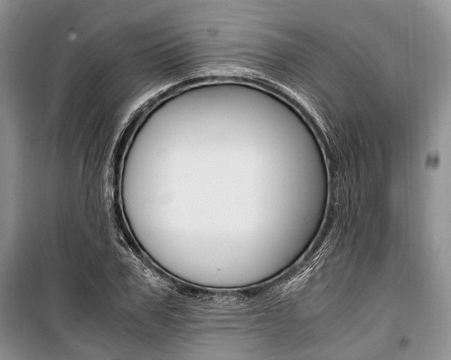 X0000101100979200806261040