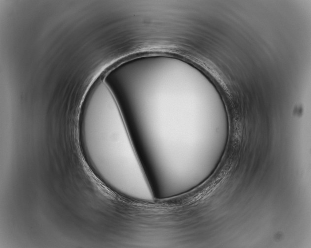 X0000101100980200806261040