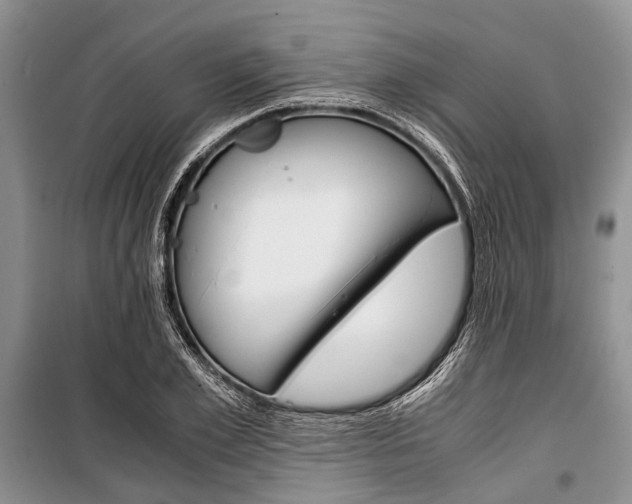 X0000101100981200806261040