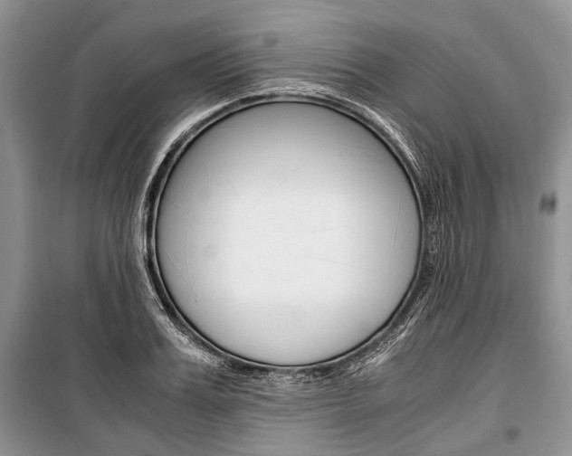X0000101100987200806261040