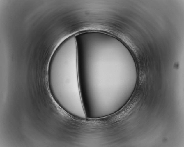 X0000101100988200806261040