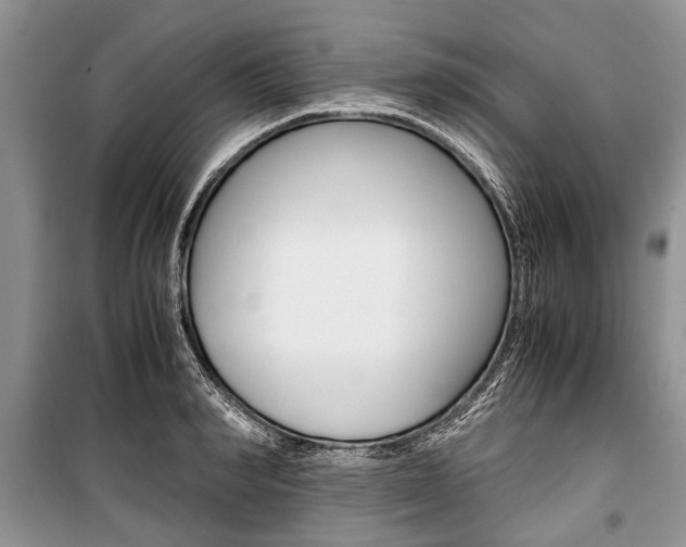 X0000101100990200806261040