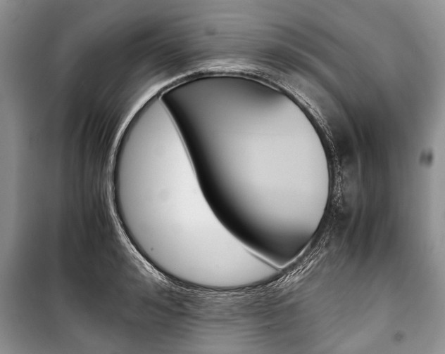 X0000101100992200806261040