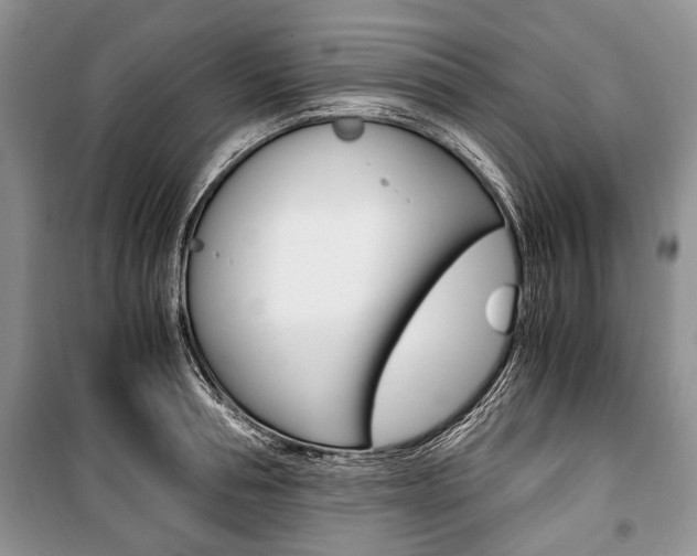 X0000101100994200806261040