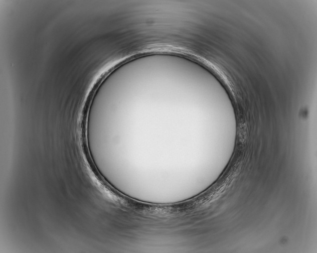 X0000101100995200806261040