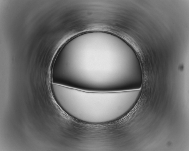X0000101100996200806261040