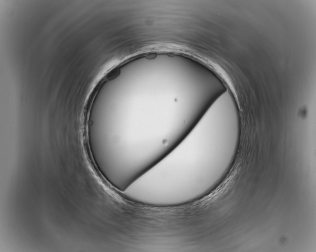 X0000101100997200806261040