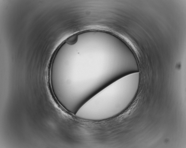 X0000101100999200806261040