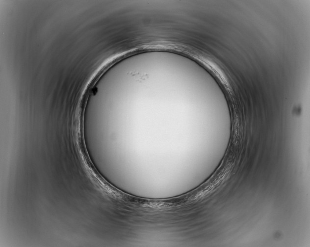 X0000101101000200806261040