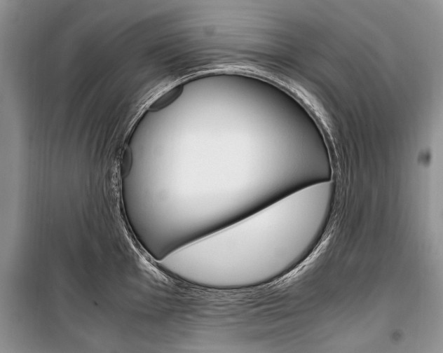 X0000101101001200806261040