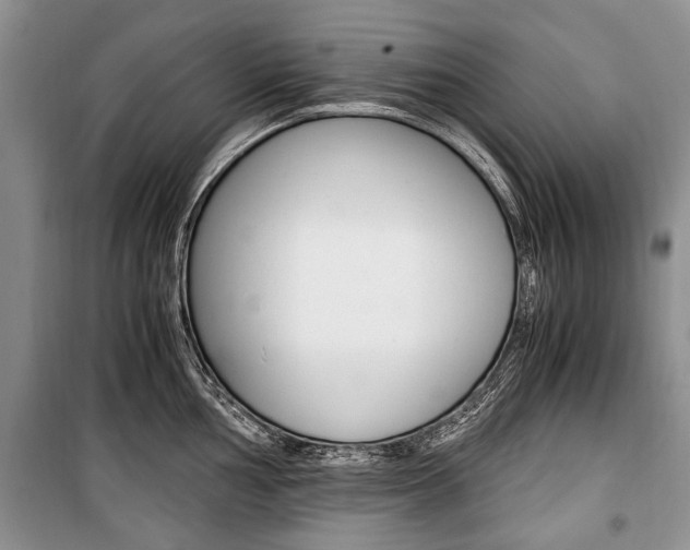 X0000101101002200806261040
