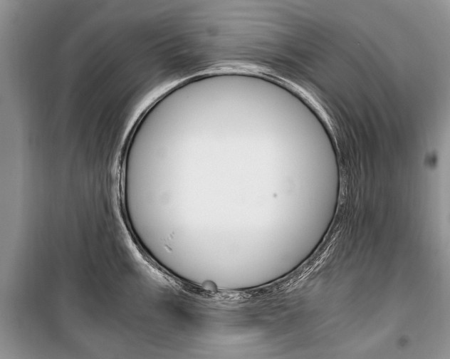X0000101101003200806261040