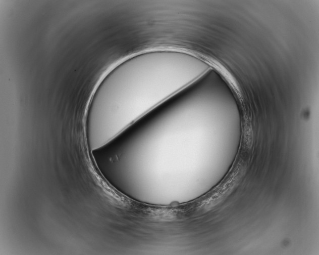 X0000101101004200806261040