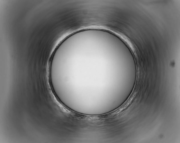 X0000101101006200806261040