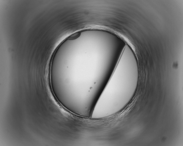X0000101101007200806261040