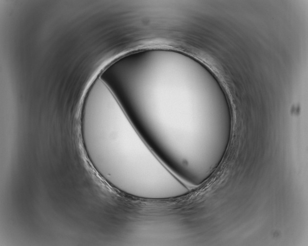 X0000101101008200806261039