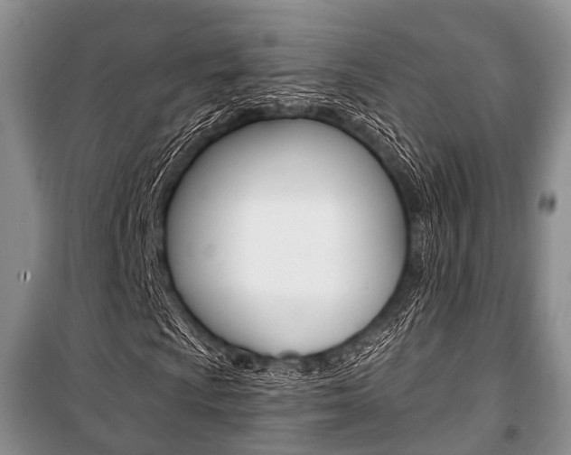 X0000101101009200806261039