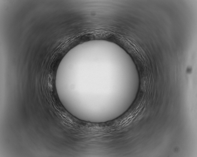 X0000101101010200806261039