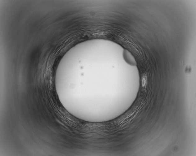 X0000101101011200806261039