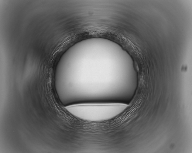 X0000101101012200806261039