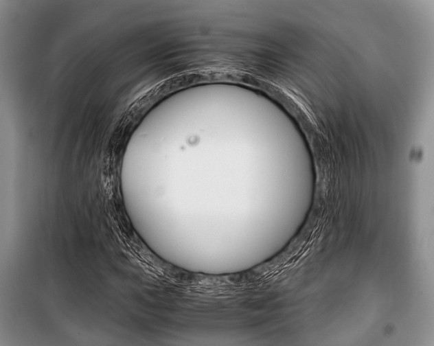X0000101101015200806261039