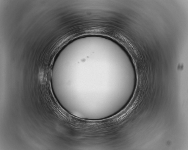 X0000101101017200806261039
