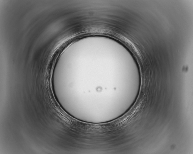 X0000101101019200806261039