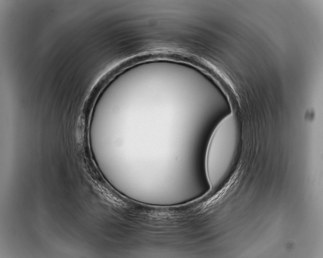 X0000101101021200806261039