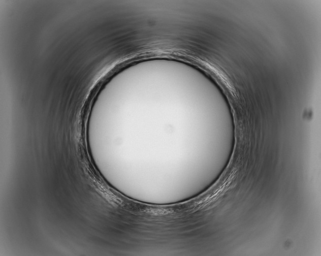 X0000101101023200806261039