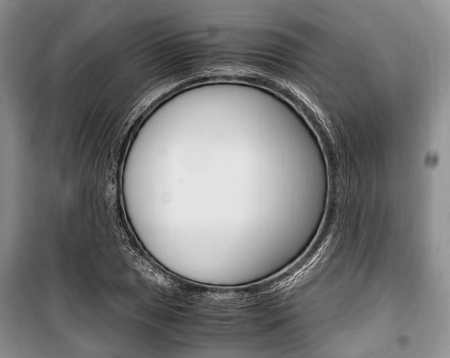 X0000101101025200806261039