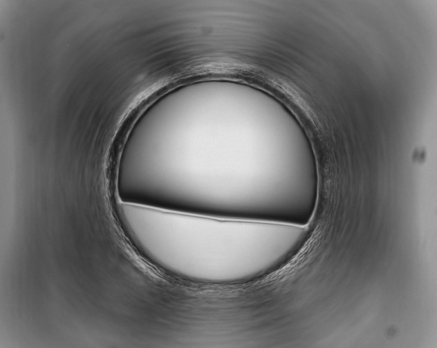X0000101101026200806261039