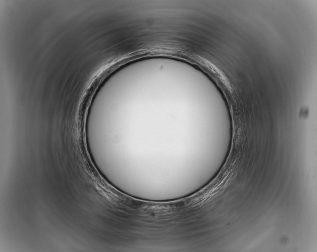 X0000101101027200806261039
