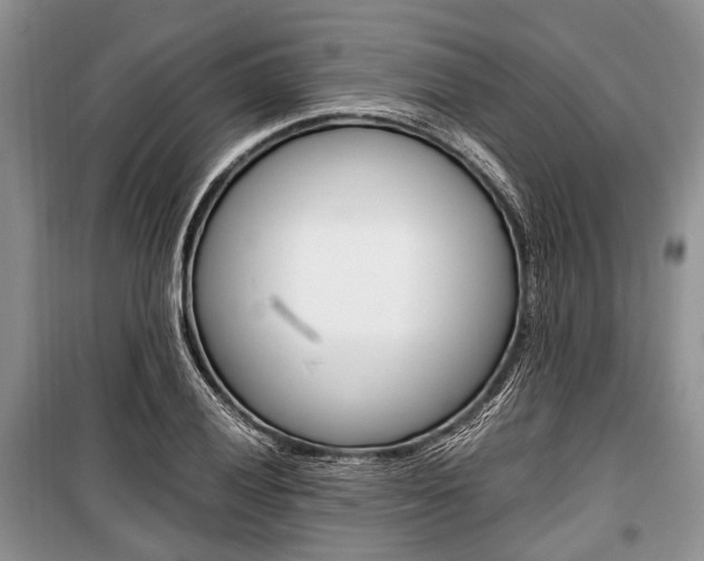 X0000101101028200806261039