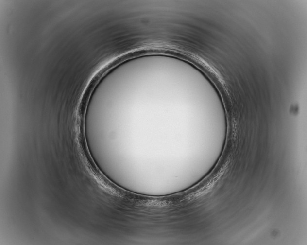 X0000101101029200806261039