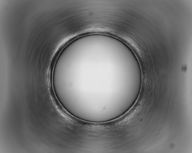 X0000101101030200806261039