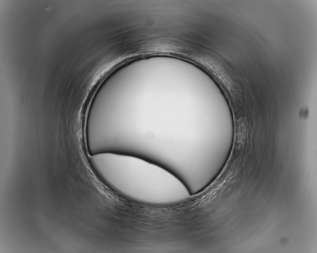 X0000101101031200806261039