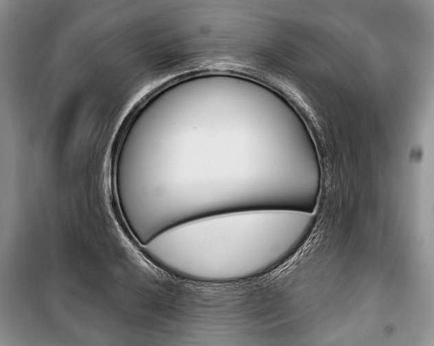 X0000101101032200806261039