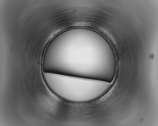 X0000101101033200806261039