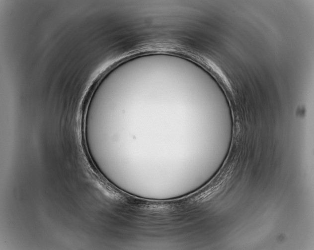 X0000101101035200806261039