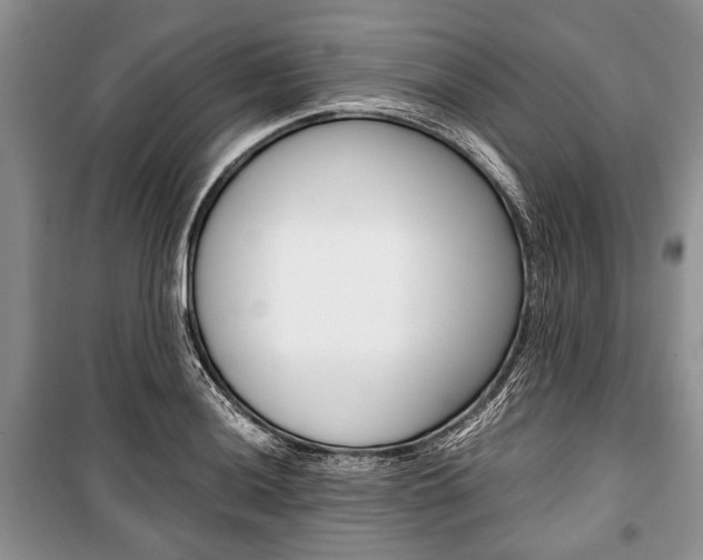 X0000101101036200806261039