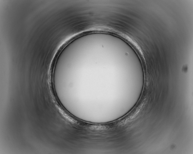 X0000101101037200806261039