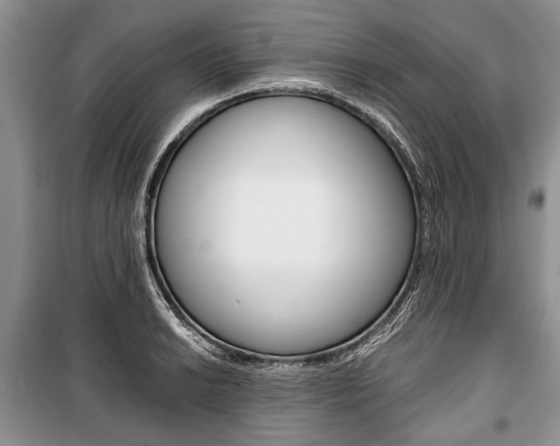 X0000101101038200806261039