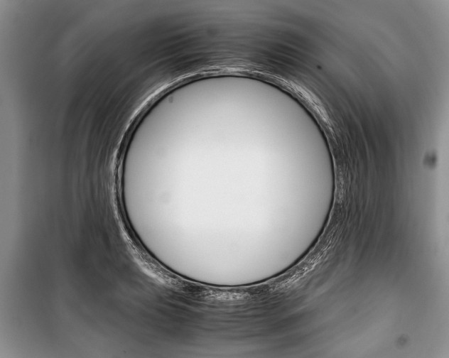 X0000101101039200806261039