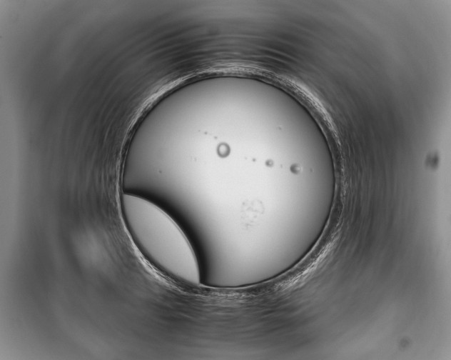 X0000101101041200806261039
