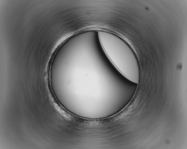 X0000101101042200806261039