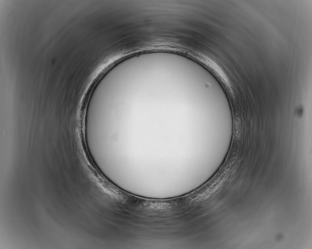 X0000101101043200806261039