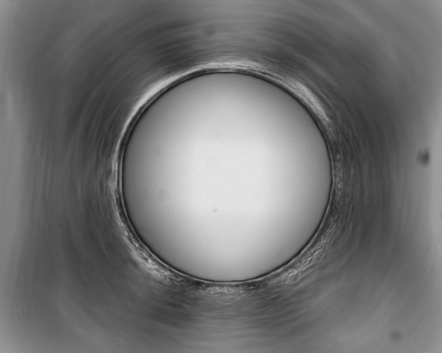 X0000101101044200806261039
