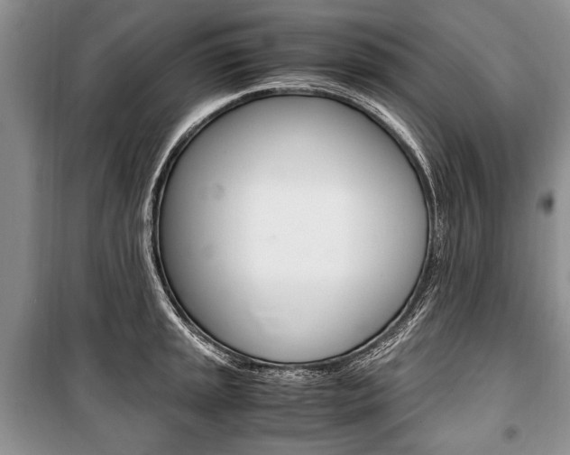 X0000101101045200806261039